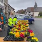 Ventes de primevères contre le cancer